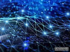 中外记者探访上海：制度型开放提速